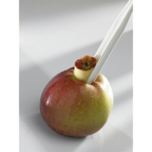 Borner combi peeler - Image 6